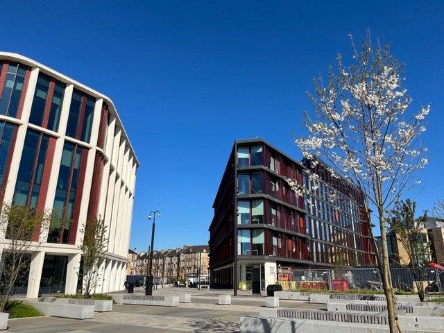 Paved area outside with raised areas of greenery and a cherry blossom tree. In the background are two large, modern buildings and tenements under a blue sky