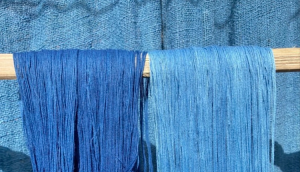 FEELING BLUE : FIBRE AND DYE FROM THE INDIGO PLOT, AN EXHIBITION ABOUT SUSTAINABLE TEXTILE (14-15 September)