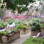 Greyfriars Biophilic Garden