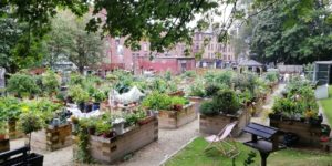 Greyfriars Biophilic Garden