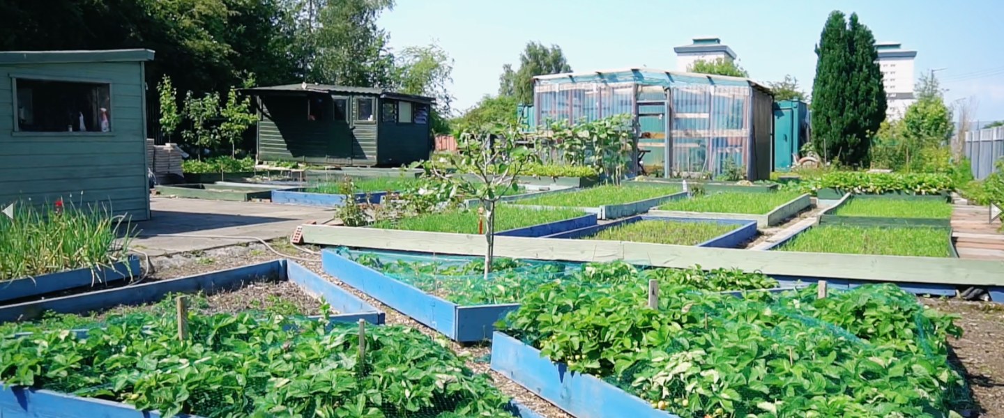 Allotment 1