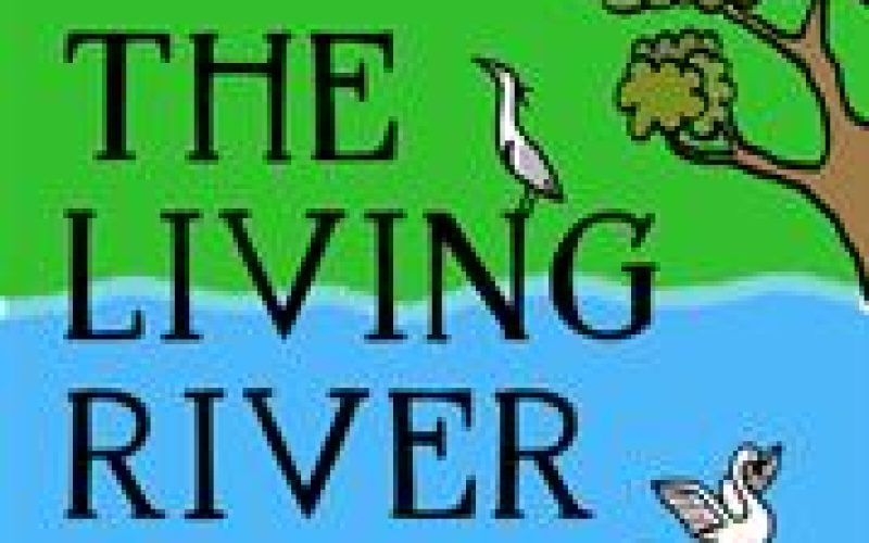 The-Living-River