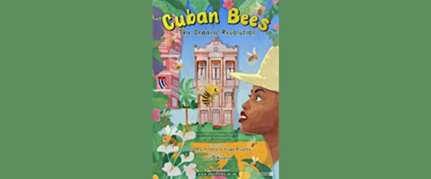 cuban bees