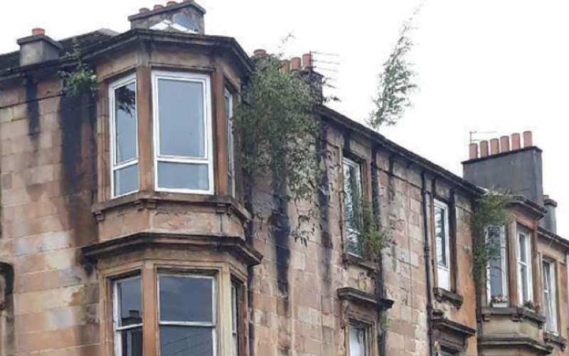 Blond sandstone tenement building with large branches growing out of the gutter and block debris covering the stonework